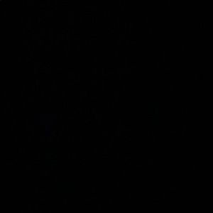 Meet your Posher, Benny